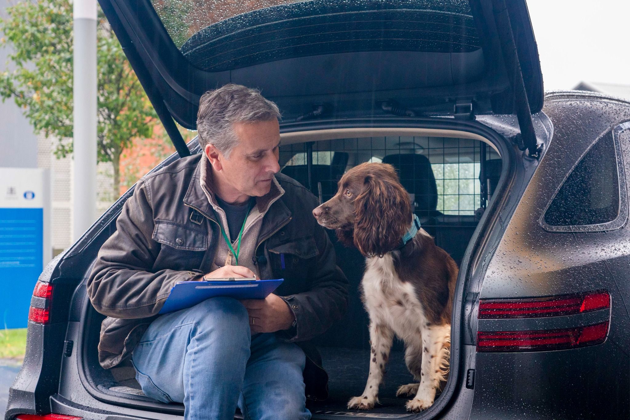 Dog travelling shop in car boot