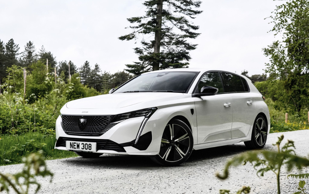 peugeot 308 parked up in forest terrain