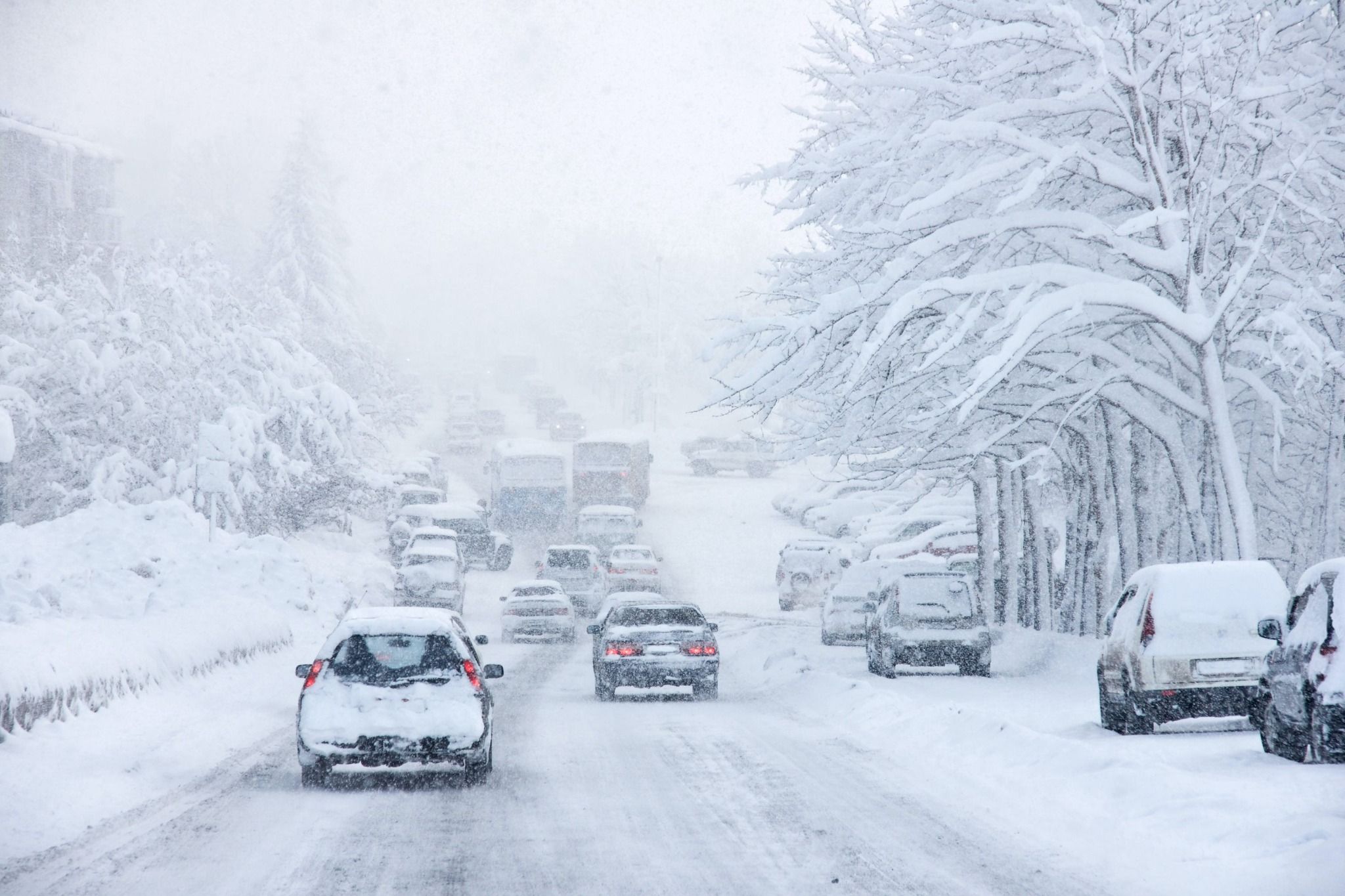 Cars covered in snow in the winter